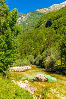 Julian Alpleri yakınlarındaki güzel Soa Vadisi 'ne hoş geldiniz Slovenya