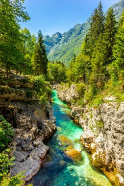 Julian Alpleri yakınlarındaki güzel Soa Vadisi 'ne hoş geldiniz Slovenya