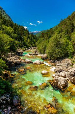 Julian Alpleri yakınlarındaki güzel Soa Vadisi 'ne hoş geldiniz Slovenya