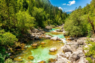 Julian Alpleri yakınlarındaki güzel Soa Vadisi 'ne hoş geldiniz Slovenya