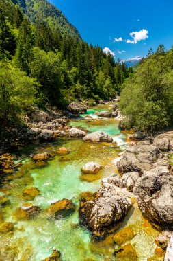 Julian Alpleri yakınlarındaki güzel Soa Vadisi 'ne hoş geldiniz Slovenya