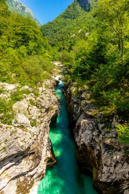 Julian Alpleri yakınlarındaki güzel Soa Vadisi 'ne hoş geldiniz Slovenya