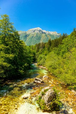 Julian Alpleri yakınlarındaki güzel Soa Vadisi 'ne hoş geldiniz Slovenya