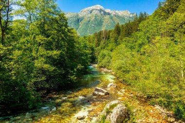 Julian Alpleri yakınlarındaki güzel Soa Vadisi 'ne hoş geldiniz Slovenya