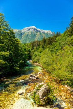 Julian Alpleri yakınlarındaki güzel Soa Vadisi 'ne hoş geldiniz Slovenya