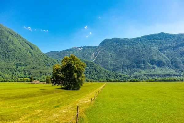 Bienvenido Hermoso Valle Soa Cerca Los Alpes Julianos Eslovenia — Foto de Stock