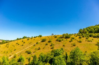 Seine 'in güzel vadisinde, Gaillard Şatosu' nda, Les Andelys, Normandiya, Fransa