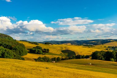 Thüringen Ormanı 'nın güzel doğasında yaz yürüyüşü