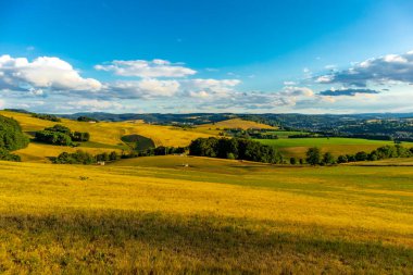 Summer walk through the beautiful nature of the Thuringian Forest - Thuringia