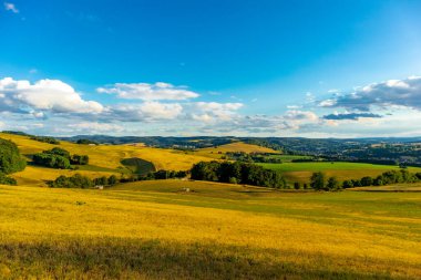 Thüringen Ormanı 'nın güzel doğasında yaz yürüyüşü