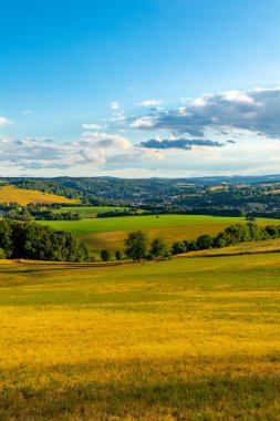 Summer walk through the beautiful nature of the Thuringian Forest - Thuringia