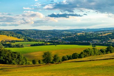 Thüringen Ormanı 'nın güzel doğasında yaz yürüyüşü