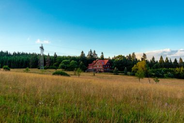 Thüringen Ormanı 'nın güzel doğasında yaz yürüyüşü