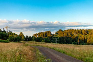 Thüringen Ormanı 'nın güzel doğasında yaz yürüyüşü