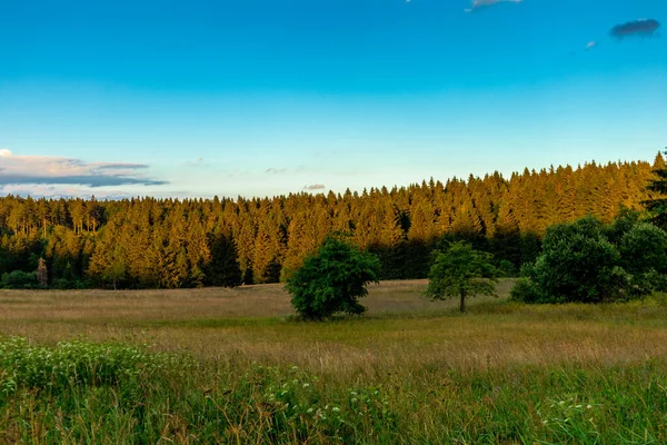 Zomer Wandeling Door Prachtige Natuur Van Het Thüringer Woud Thüringen — Stockfoto