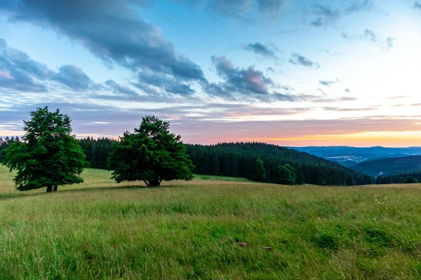 Sommerspaziergang Durch Die Schöne Natur Des Thüringer Waldes Thüringen — Stockfoto
