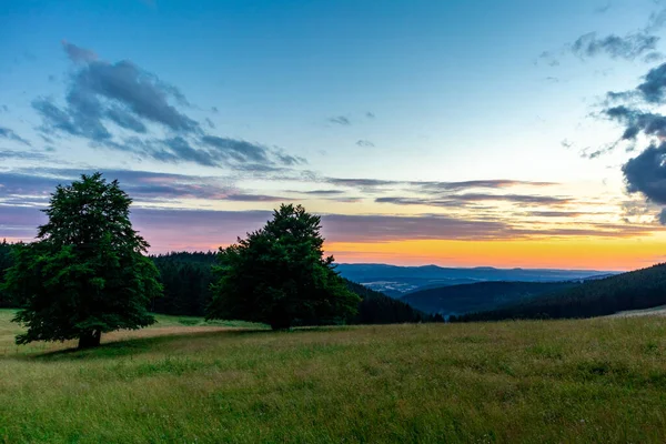 Summer Walk Beautiful Nature Thuringian Forest Thuringia — Zdjęcie stockowe