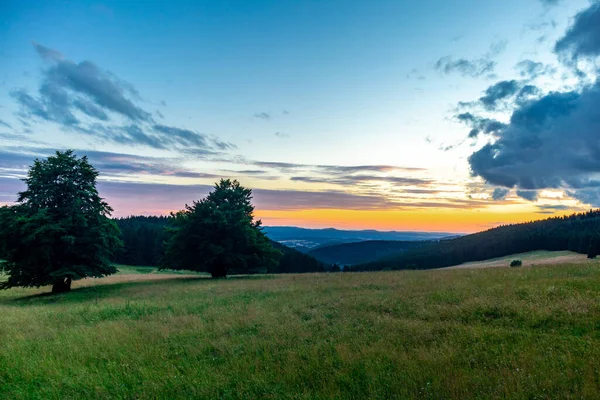 Летняя Прогулка Живописному Лесу Тюрингии Тюрингия — стоковое фото