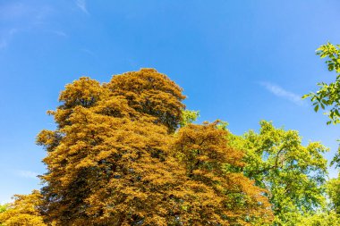 Fransa 'nın güzel başkentini keşfetmek - Paris - le-de-France - Fransa