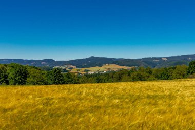 Schmalkalden 'in güzel doğasında yaz yürüyüşü - Thüringen - Almanya