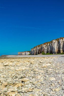 La Cte d 'Albtre - Normandiya - Fransa' nın eşsiz uçurumları boyunca güzel bir keşif turu.