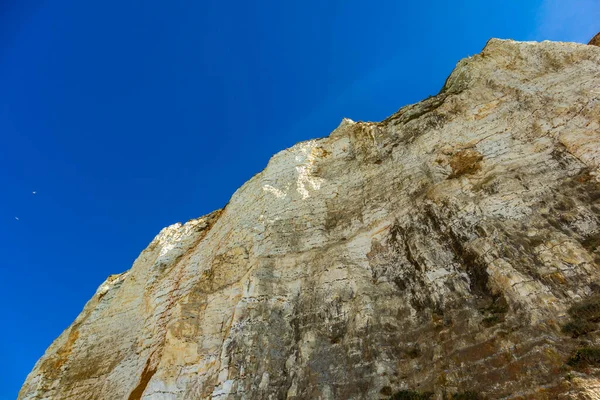 Beautiful Discovery Tour Unique Cliffs Cte Albtre Normandy France — стоковое фото