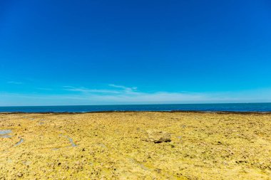 Yport-Normandiya-Fransa yakınlarındaki güzel kaymaktaşı sahilinde sahil yürüyüşü