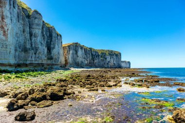 Yport-Normandiya-Fransa yakınlarındaki güzel kaymaktaşı sahilinde sahil yürüyüşü