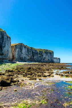 Yport-Normandiya-Fransa yakınlarındaki güzel kaymaktaşı sahilinde sahil yürüyüşü