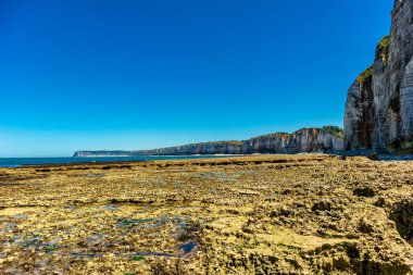 Yport-Normandiya-Fransa yakınlarındaki güzel kaymaktaşı sahilinde sahil yürüyüşü