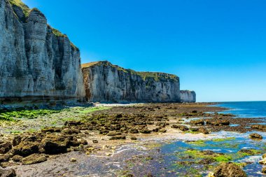 Yport-Normandiya-Fransa yakınlarındaki güzel kaymaktaşı sahilinde sahil yürüyüşü