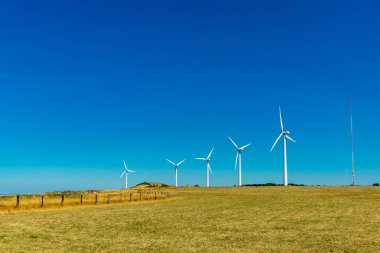 Fcamp yakınlarındaki güzel kaymaktaşı sahilinde sahil yürüyüşü - Normandiya - Fransa