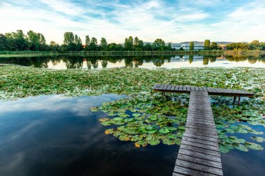 Summer exploring tour along the beautiful Werratal - Breitungen - Seeblick