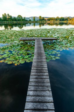 Summer exploring tour along the beautiful Werratal - Breitungen - Seeblick
