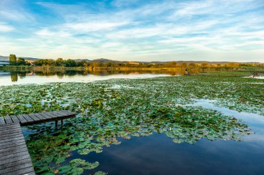 Summer exploring tour along the beautiful Werratal - Breitungen - Seeblick