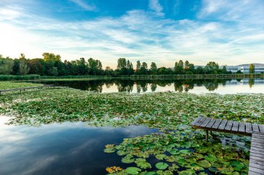 Summer exploring tour along the beautiful Werratal - Breitungen - Seeblick