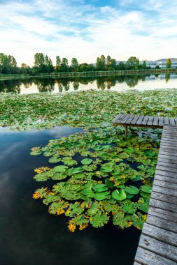 Summer exploring tour along the beautiful Werratal - Breitungen - Seeblick