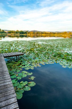 Summer exploring tour along the beautiful Werratal - Breitungen - Seeblick