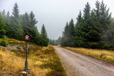 Summer discovery tour through the Thuringian Forest near Brotterode - Thuringia