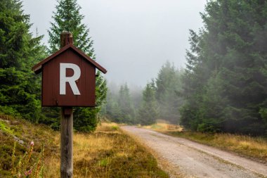 Summer discovery tour through the Thuringian Forest near Brotterode - Thuringia