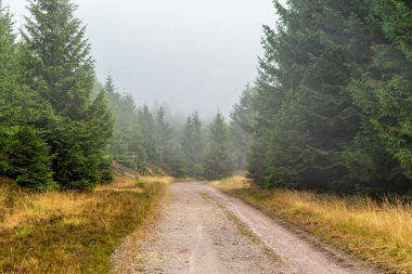 Summer discovery tour through the Thuringian Forest near Brotterode - Thuringia