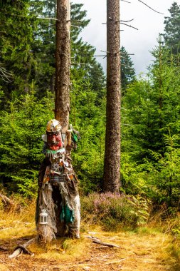 Summer discovery tour through the Thuringian Forest near Brotterode - Thuringia