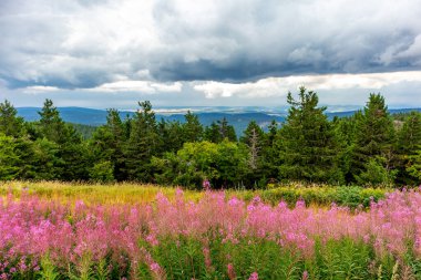 Summer discovery tour through the Thuringian Forest near Brotterode - Thuringia