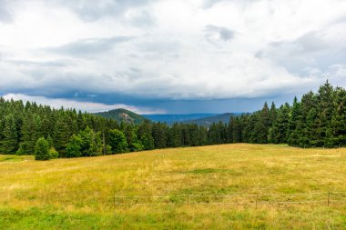 Summer discovery tour through the Thuringian Forest near Brotterode - Thuringia