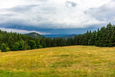 Summer discovery tour through the Thuringian Forest near Brotterode - Thuringia