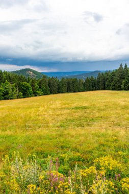 Summer discovery tour through the Thuringian Forest near Brotterode - Thuringia
