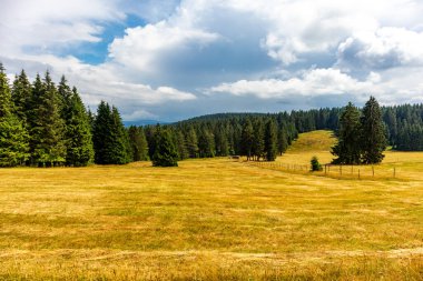 Summer discovery tour through the Thuringian Forest near Brotterode - Thuringia