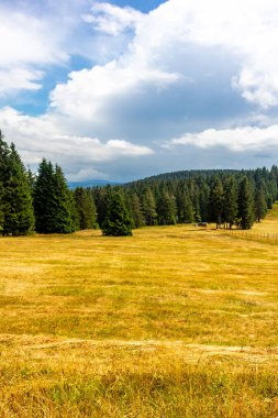 Summer discovery tour through the Thuringian Forest near Brotterode - Thuringia