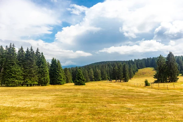 Summer discovery tour through the Thuringian Forest near Brotterode - Thuringia