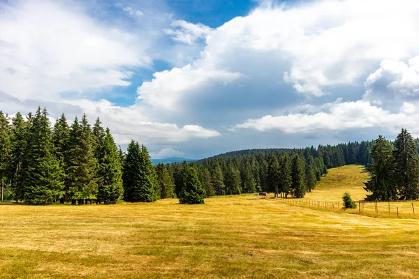 Summer Discovery Tour Thuringian Forest Brotterode Thuringia —  Fotos de Stock